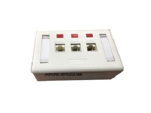 Bộ Wall Plate (Ổ cắm mạng) AMP 3 Port /OUTLET  đôi