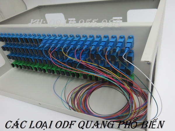 Các loại hộp phối quang phổ biến? tác dụng của từng loại ODF