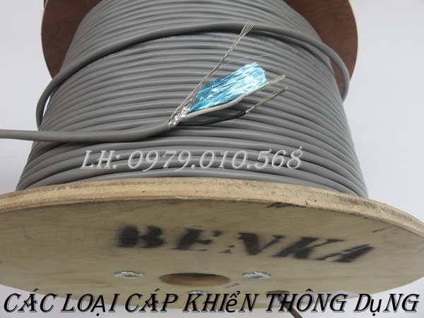 CÁC LOẠI CÁP ĐIỀU KHIỂN THÔNG DỤNG HIỆN NAY TRÊN THỊ TRƯỜNG VIỆT NAM