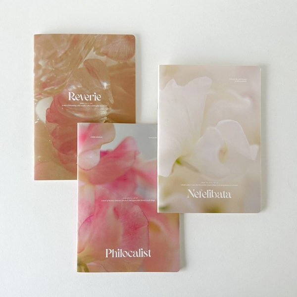 Combo 3 Vở kẻ ngang 80 trang Moments Collection