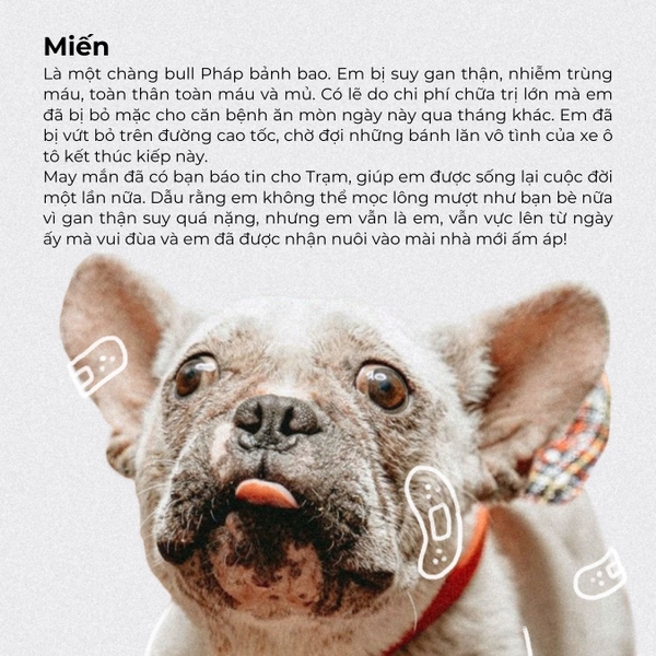 Vở kẻ ngang 120 trang Crabit x SGT - The Furry Friends - Miến - Xanh ngọc