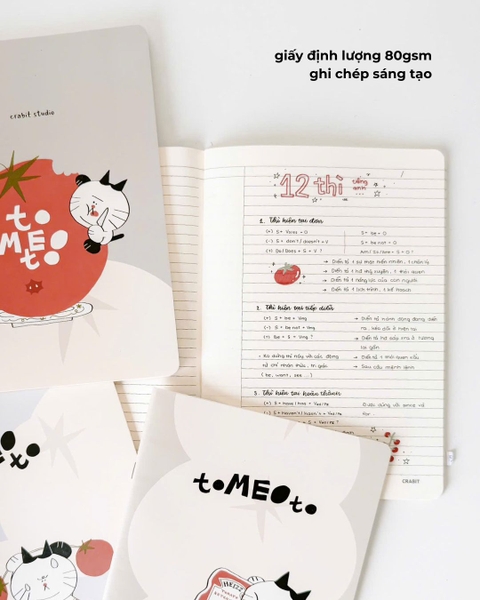 Vở kẻ ngang 100 trang 80gsm Tomeoto Ketchup