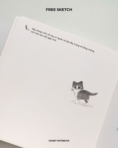 Sổ dạy vẽ A Line At A Time - Cat Lovers