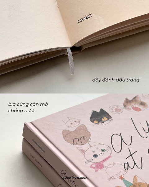 Sổ dạy vẽ A Line At A Time - Cat Lovers