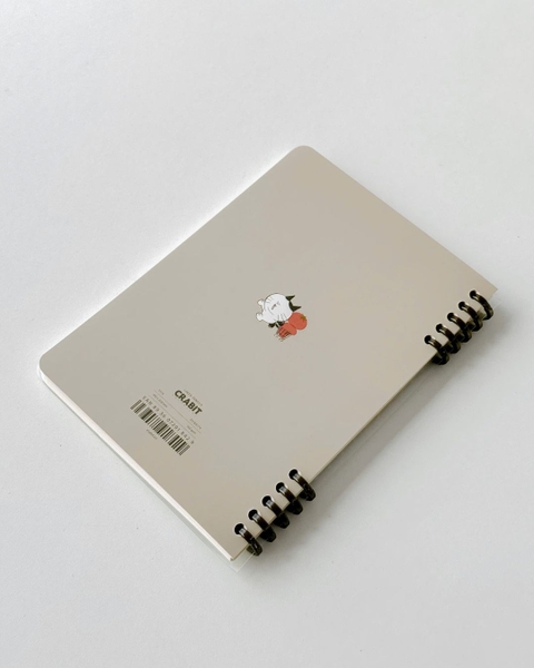 Sổ còng a5 slim binder 100gsm kẻ ngang - Tomeoto Ketchup