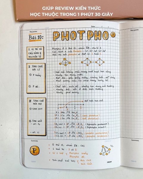Vở cornell grid 120 trang Miếng - Bánh trôi