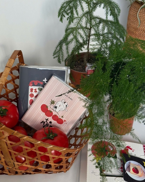 Sketchbook A6 190gsm Tomeoto Sọc Hồng