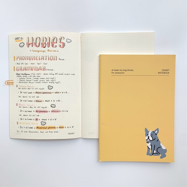 Combo 3 vở may gáy 100gsm 80 trang Buddy