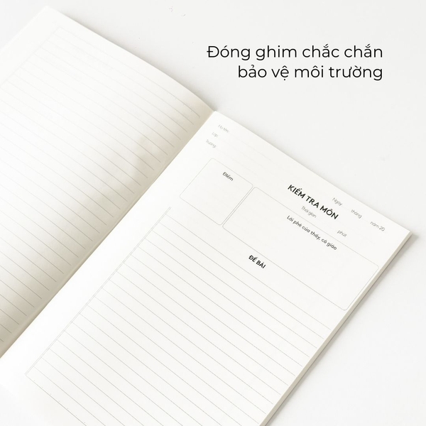 Giấy kiểm tra Học đậu Thi Đỗ - Đậu đỏ xanh