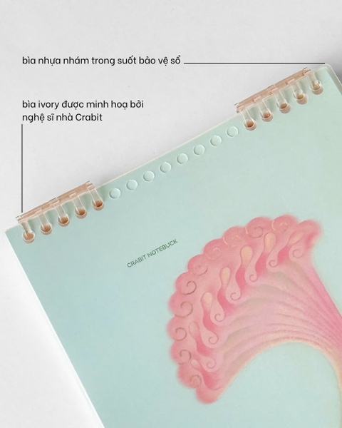 Sketchbook slim binder B5 190gsm Kỳ Hoa Dị Thảo - Hoa Mào Gà