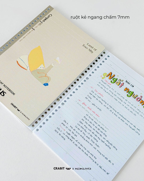Vở ruột sổ còng kẻ ngang chấm B5 100 trang Crabit x Kokuyo Land of Too-shy 2 - Bananeet Picnic