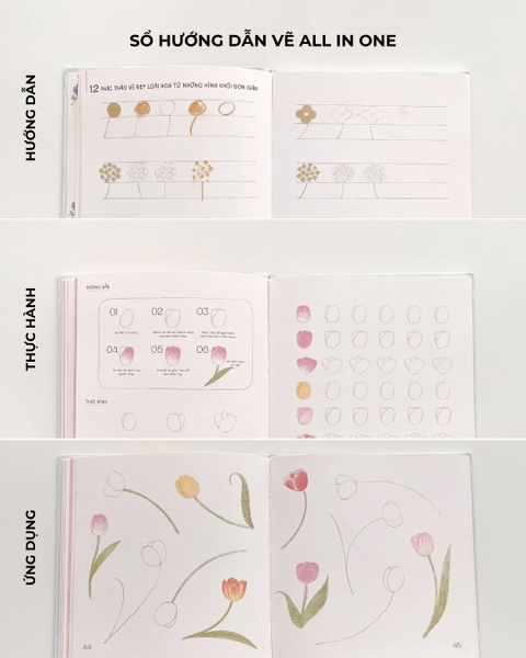 Sổ dạy vẽ A Line At A Time - Flower In Blooms