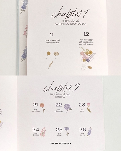 Sổ dạy vẽ A Line At A Time - Flower In Blooms