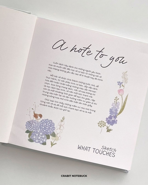 Sổ dạy vẽ A Line At A Time - Flower In Blooms