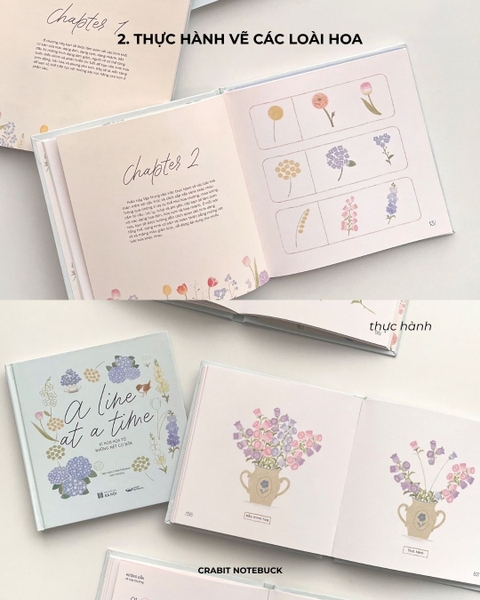 Sổ dạy vẽ A Line At A Time - Flower In Blooms