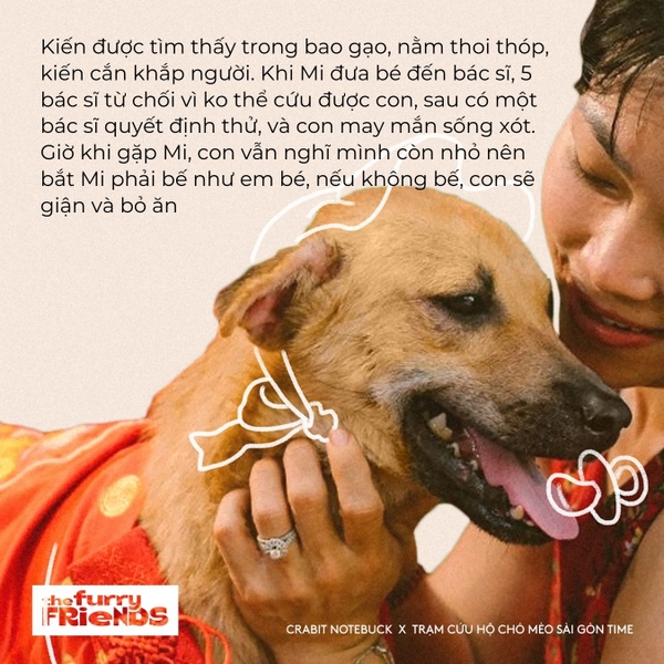 Sổ tay bỏ túi kẻ ngang The Furry Friends Crabit x SGT - Kiến