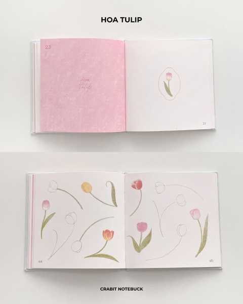 Sổ dạy vẽ A Line At A Time - Flower In Blooms
