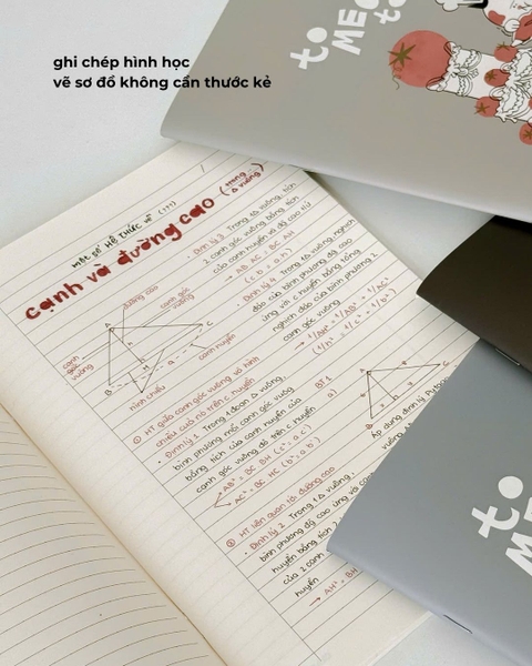 Combo 3 Vở kẻ ngang chấm 100 trang 80gsm Tomeoto