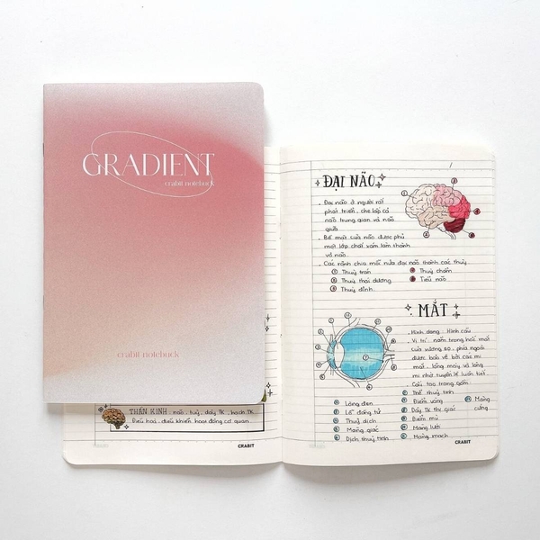 Combo sổ vở Gradient