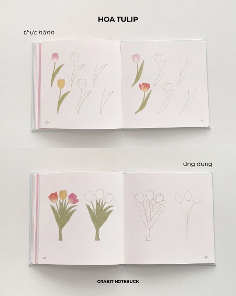 Sổ dạy vẽ A Line At A Time - Flower In Blooms