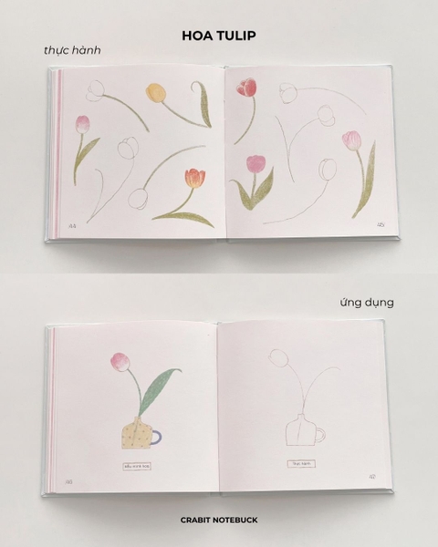 Sổ dạy vẽ A Line At A Time - Flower In Blooms