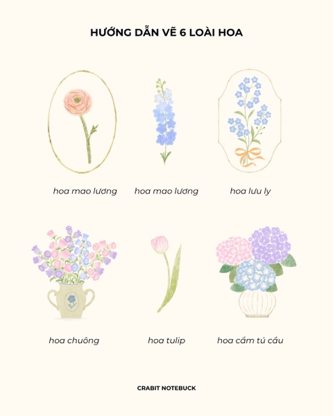 Sổ dạy vẽ A Line At A Time - Flower In Blooms