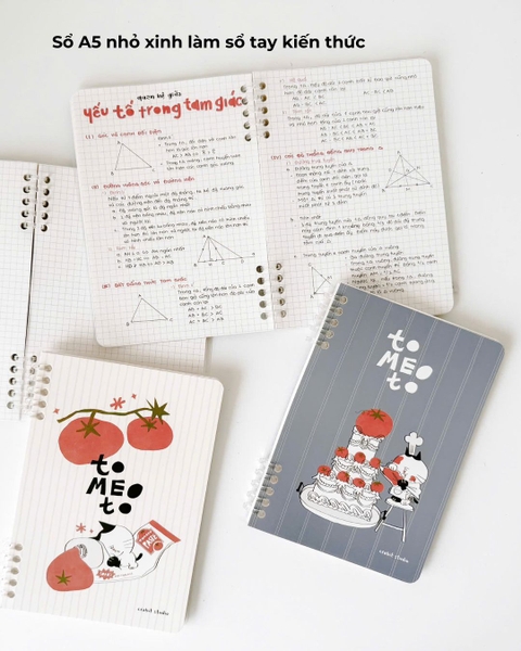 Sổ còng a5 slim binder 100gsm grid - Tomeoto Paste