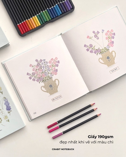 Sổ dạy vẽ A Line At A Time - Flower In Blooms