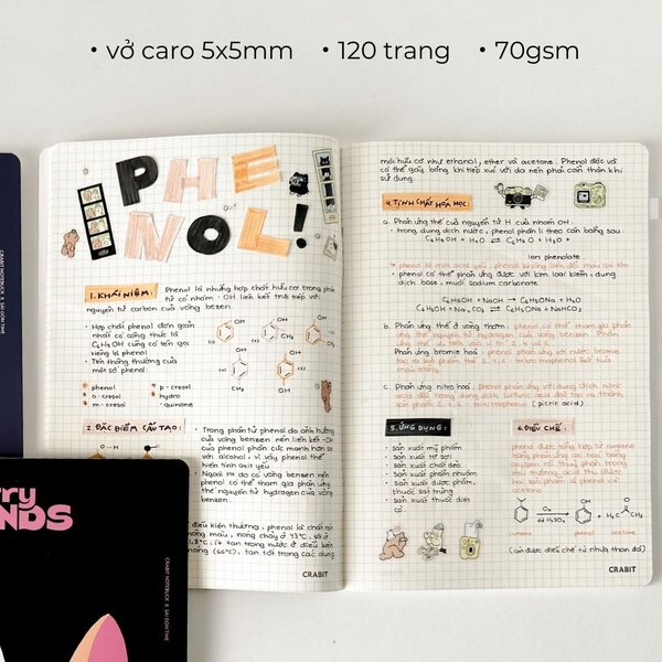 Combo 3 Vở grid caro 120 trang Crabit x SGT - The Furry Friends