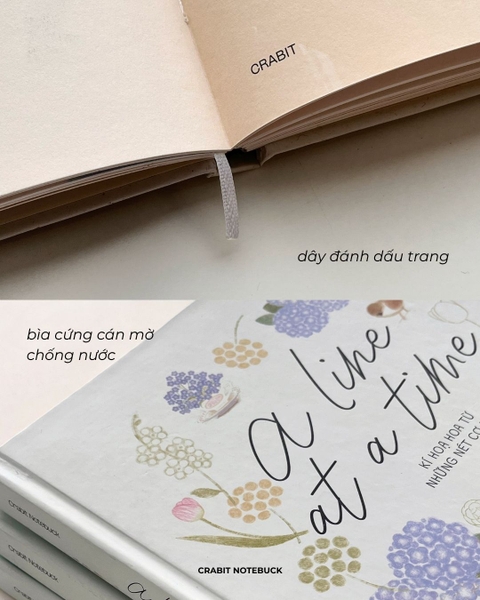 Sổ dạy vẽ A Line At A Time - Flower In Blooms