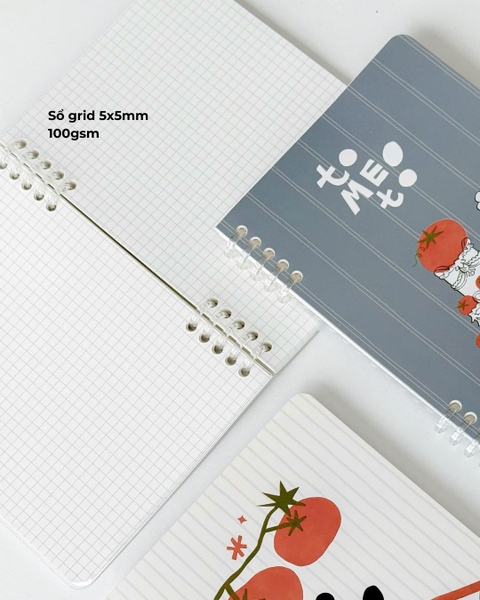 Sổ còng a5 slim binder 100gsm grid - Tomeoto Cake