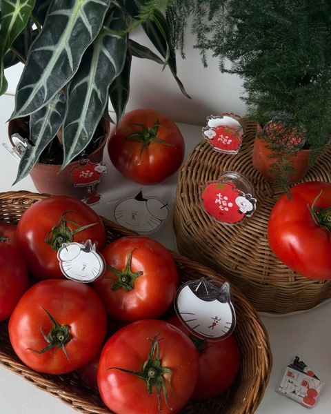 Kẹp tài liệu dễ thương - Tomeoto