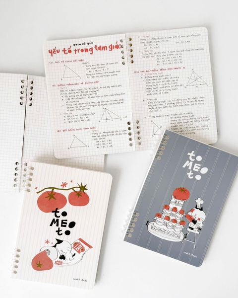 Sổ còng a5 slim binder 100gsm grid - Tomeoto Paste