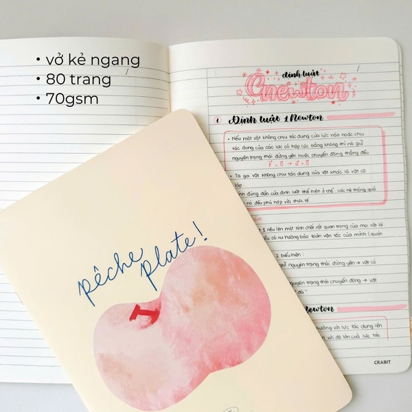 Vở kẻ ngang 80 trang - Peach Pocket - Đào xanh
