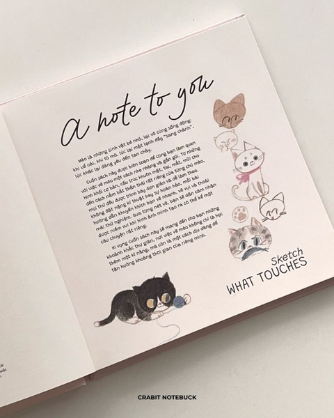 Sổ dạy vẽ A Line At A Time - Cat Lovers