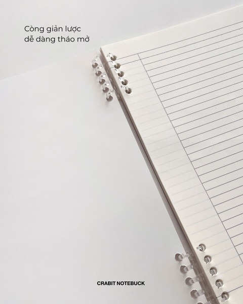 Vở kẻ ngang còng 2 đầu 70gsm 160 trang Chấm bi - Nâu