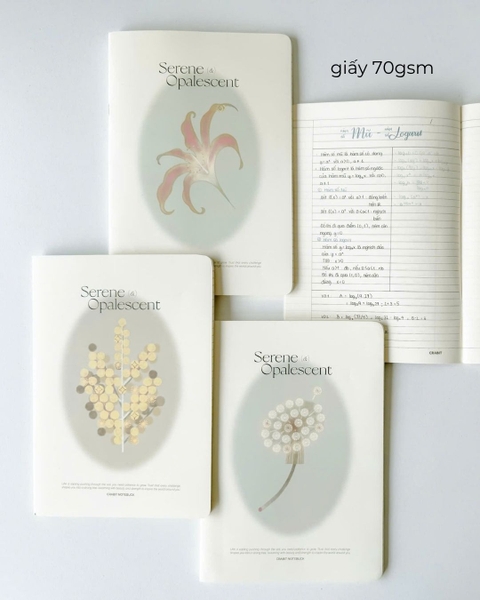 Vở kẻ ngang 120 trang 70gsm Kỳ Hoa Dị Thảo - Bồ công anh