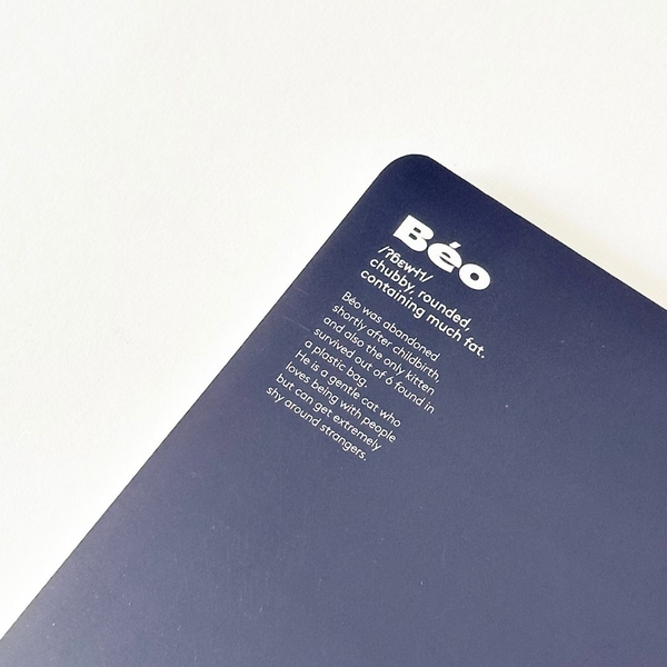 Vở grid caro 120 trang Crabit x SGT - The Furry Friends - Mèo Béo - Xanh đen