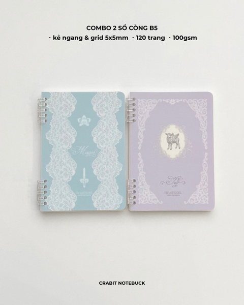 Sổ còng 2 đầu A5 120 trang 100gsm Ren Framework