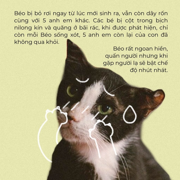 Vở grid caro 120 trang Crabit x SGT - The Furry Friends - Mèo Béo - Xanh đen