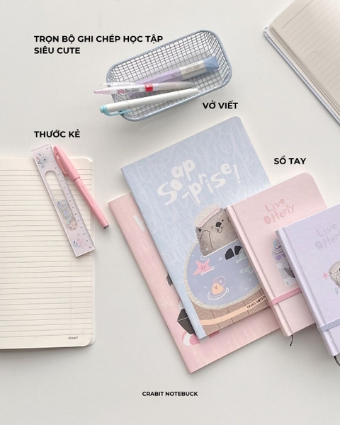 Thước kẻ acrylic 15cm kèm mini charm lắc Otter Life