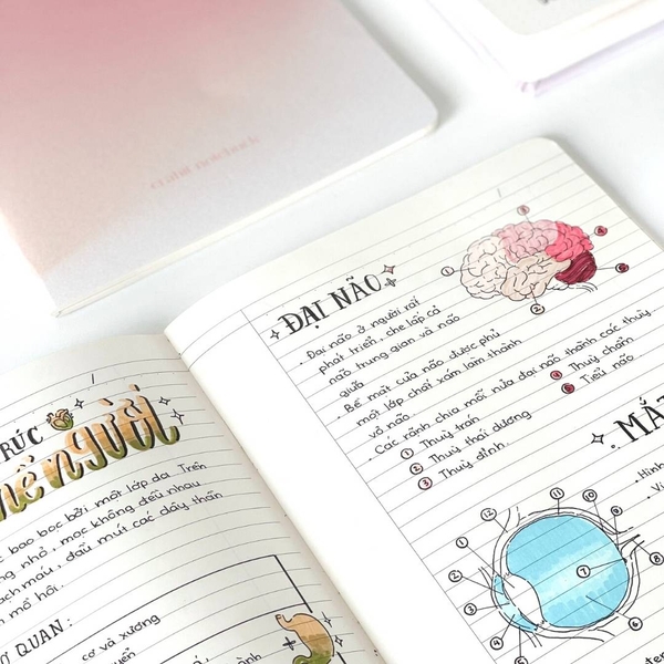 Vở kẻ ngang 80 trang Gradient Hồng