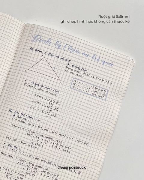 Vở grid caro 100 trang 80gsm Chấm bi - Nâu