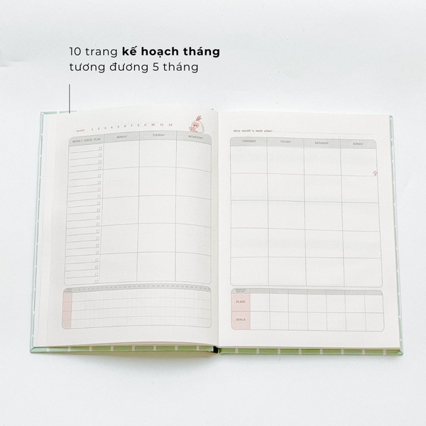 Sổ Study Planner Crabit Onion - Hành Hướng Lung Tung