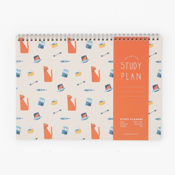 Study Plan - Mèo