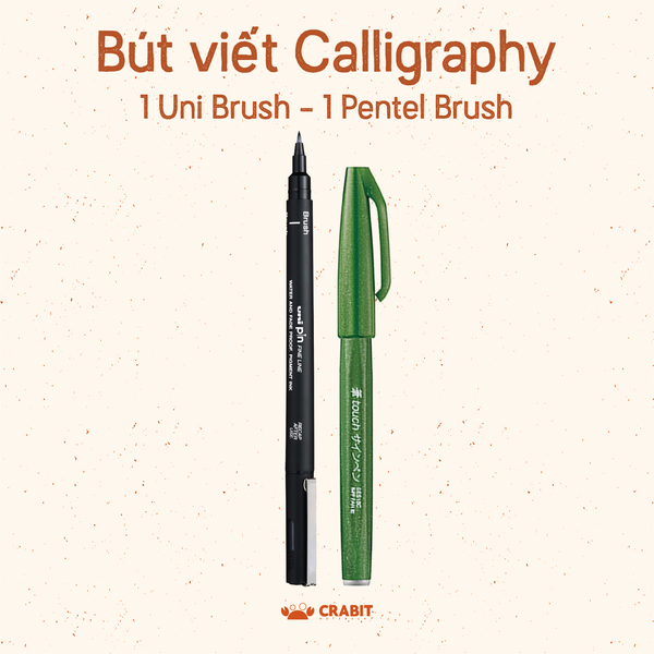 Combo 2 bút luyện viết chữ Calligraphy chuyên dụng