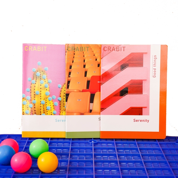 Combo 12 vở kẻ ngang Serenity Indie  - 80 trang