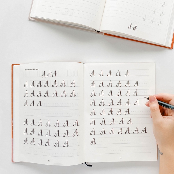 Sách luyện viết chữ Calligraphy dành cho người mới bắt đầu 170 trang