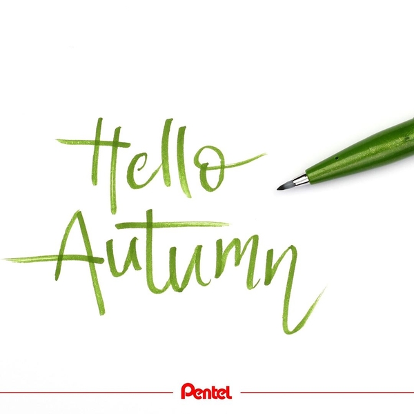 Pentel Brush Sign Pen - Bút lông viết Calligraphy