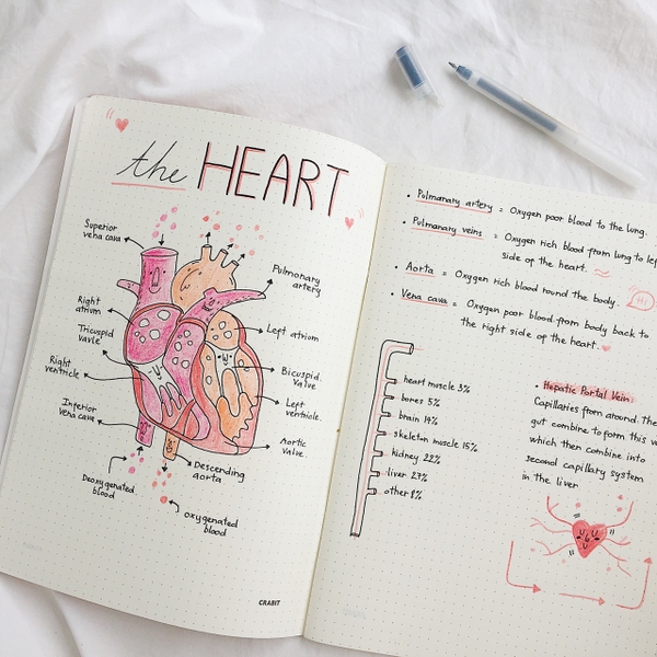 Combo 3 vở kẻ dot Seamless - 120 trang